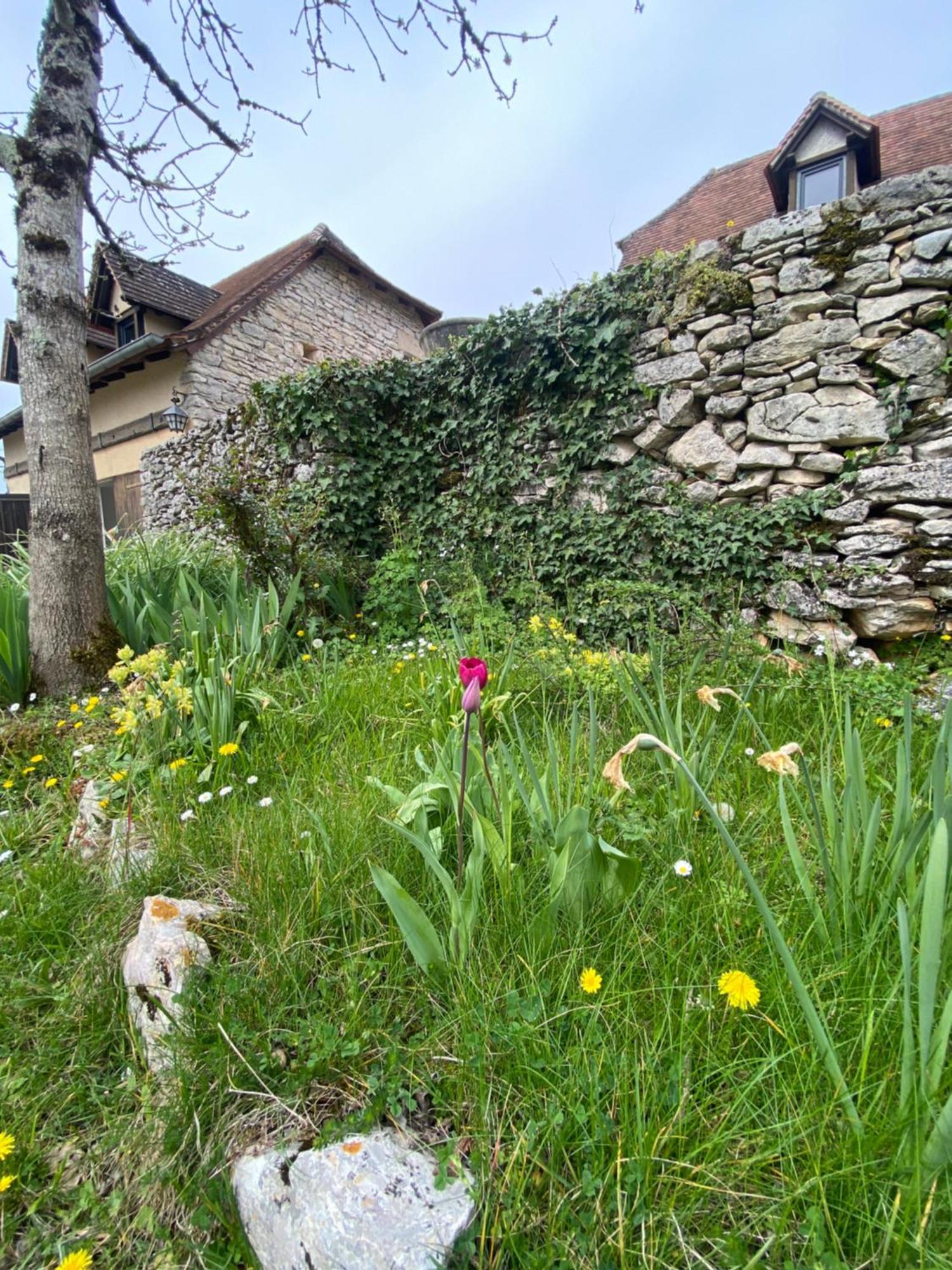Gites Sur Le Causse De St Chels, Charme Sport Et Detente Saint-Chels Exterior photo
